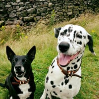 Cullingworth Pooches Playground logo