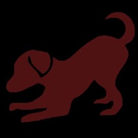 A. Beattie, Dog Obedience, Behaviour and Companion-Dog Gundog Training. PawManagement logo