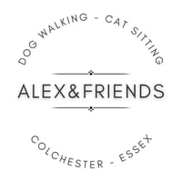 Alex & Friends logo