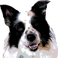 Colton Dog Walking Service logo