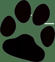 Ace Dog Training logo