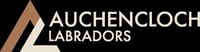 Auchencloch Labradors logo