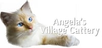 Angelas Village Cattery logo