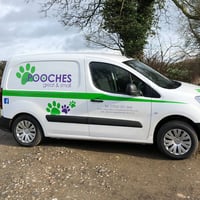 All Pooches Great and Small logo