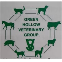 Green Hollow logo