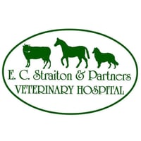 E C Straiton & Partners LTD logo