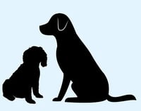 Spruce Cricklade Dog Grooming logo