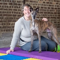 Pawfect Ability - Dog Training For All logo
