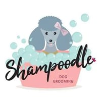 Shampoodle logo