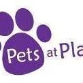 Pets at Play logo