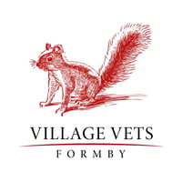 Village Veterinary Surgery logo