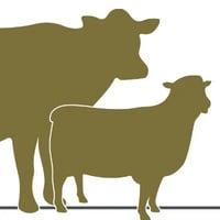 Cheshire Farm Vets logo