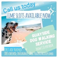 Quayside Dog Walking Services logo