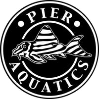 Pier Aquatics logo