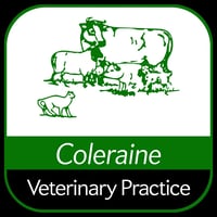 Coleraine Veterinary Practice logo