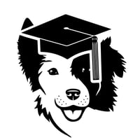Training Dog logo