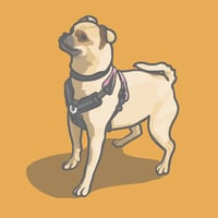 Aviemore Dog Training logo