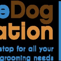 The Dog Station logo