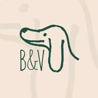 B&V trading logo