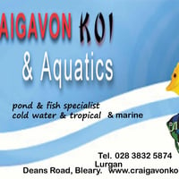 Craigavon Koi & Aquatics logo