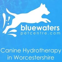 Bluewaters Canine Centre - Hydrotherapy and Physiotherapy logo