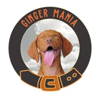 Ginger Mania logo