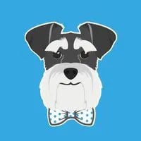 Coopers Dog Grooming Ltd logo