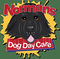 Normans Dog Day Care logo