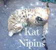 Kat Nipins logo