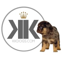KK DOGS FERTILITY SUPPLIES & SERVICES logo