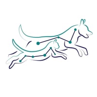 Karen Goodall Veterinary Physiotherapy logo