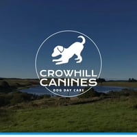 Crowhill Canines logo