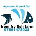 Aquarium and pond fish fromfryfishfarm logo