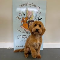 Claire's Dog Care logo