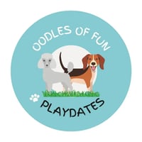 Oodles Of Fun logo