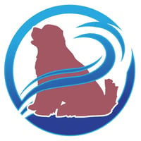 Cannock Canine Hydrotherapy logo