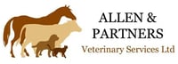 Allen & Partners logo