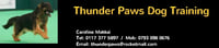 Thunder Paws Dog Training & Walking logo