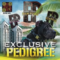 Exclusive Pedigree raw pet food logo