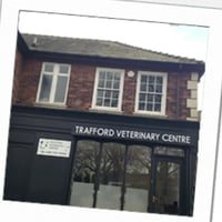 Trafford Veterinary Centre, Carrington logo