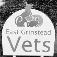 Crawley Veterinary Clinic logo