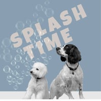 Splash Time Dog Groomers logo