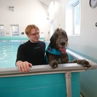 Aqua Dog Hydrotherapy logo
