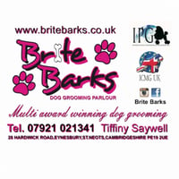 Brite Barks logo