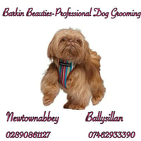 Barkin Beauties- Professional Dog Grooming -Newtownabbey logo