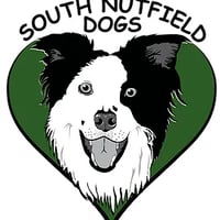South Nutfield Dogs logo