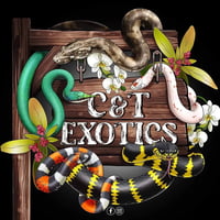 C&T Exotics logo
