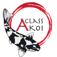 A Class Koi logo
