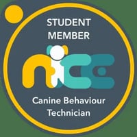 Boots & Paws dog training and behaviour® logo