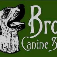Bronte Canine Dog Training logo